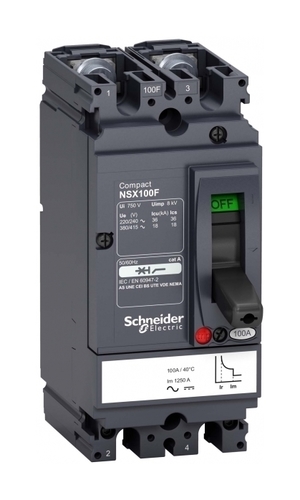 Силовой автомат Schneider Electric Compact NSX, 18кА, 2P, 50А